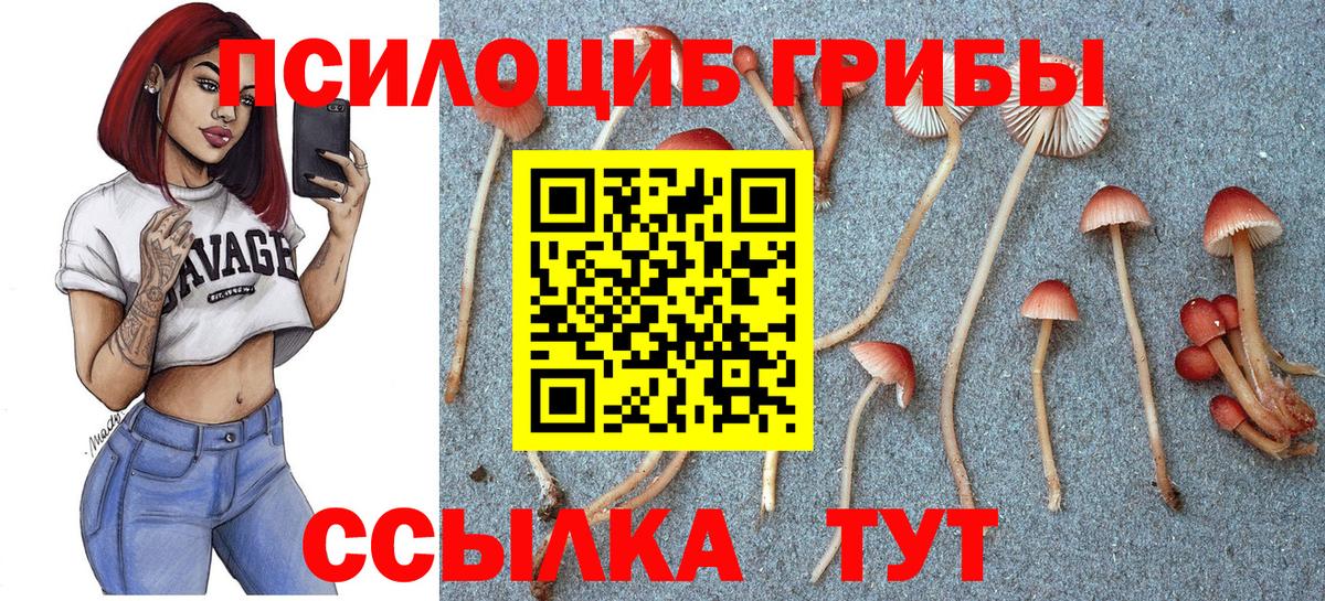 Туапсе  Псилоцибиновые грибы мухоморы  Галлюциногенные грибы GOLDEN TEACHER  Вход с VPN 